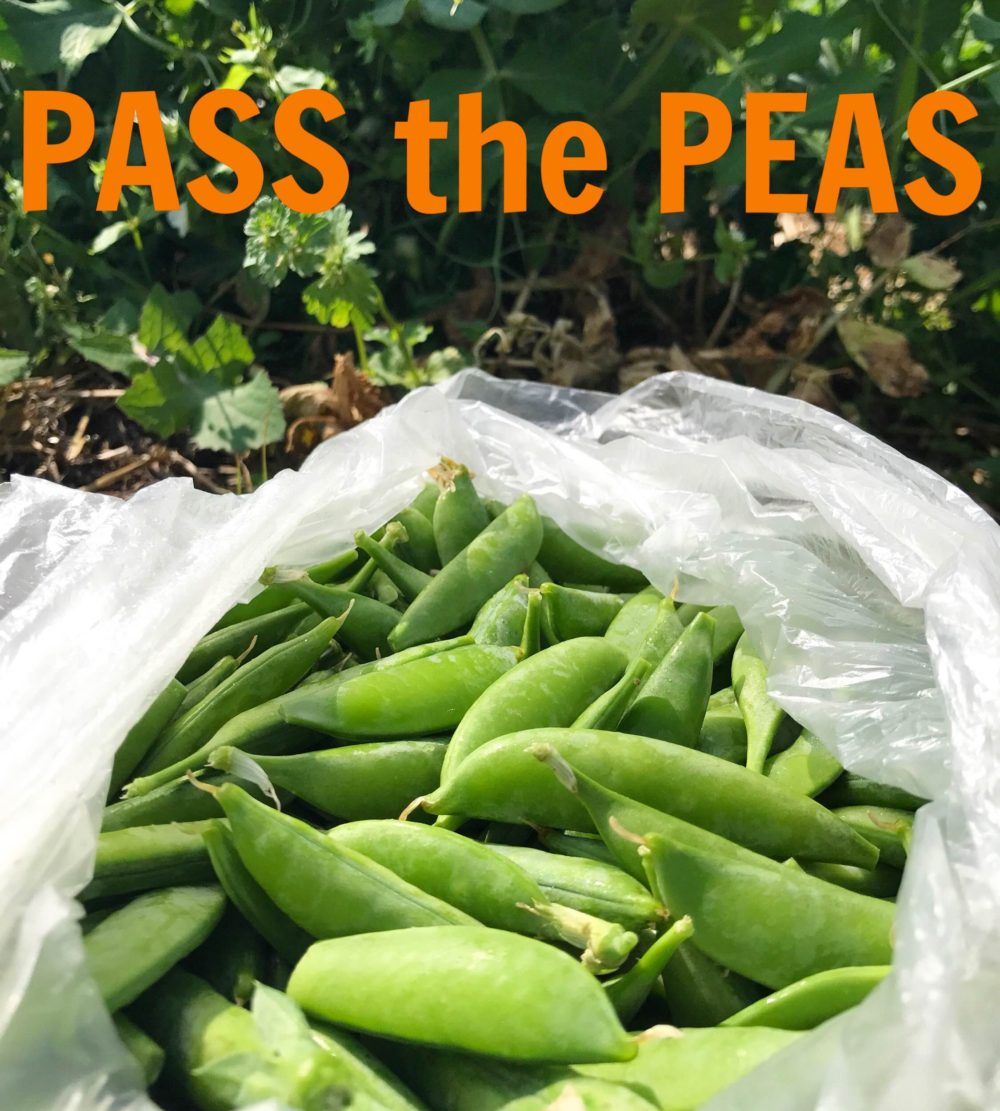 Pass the Peas My Way Please!