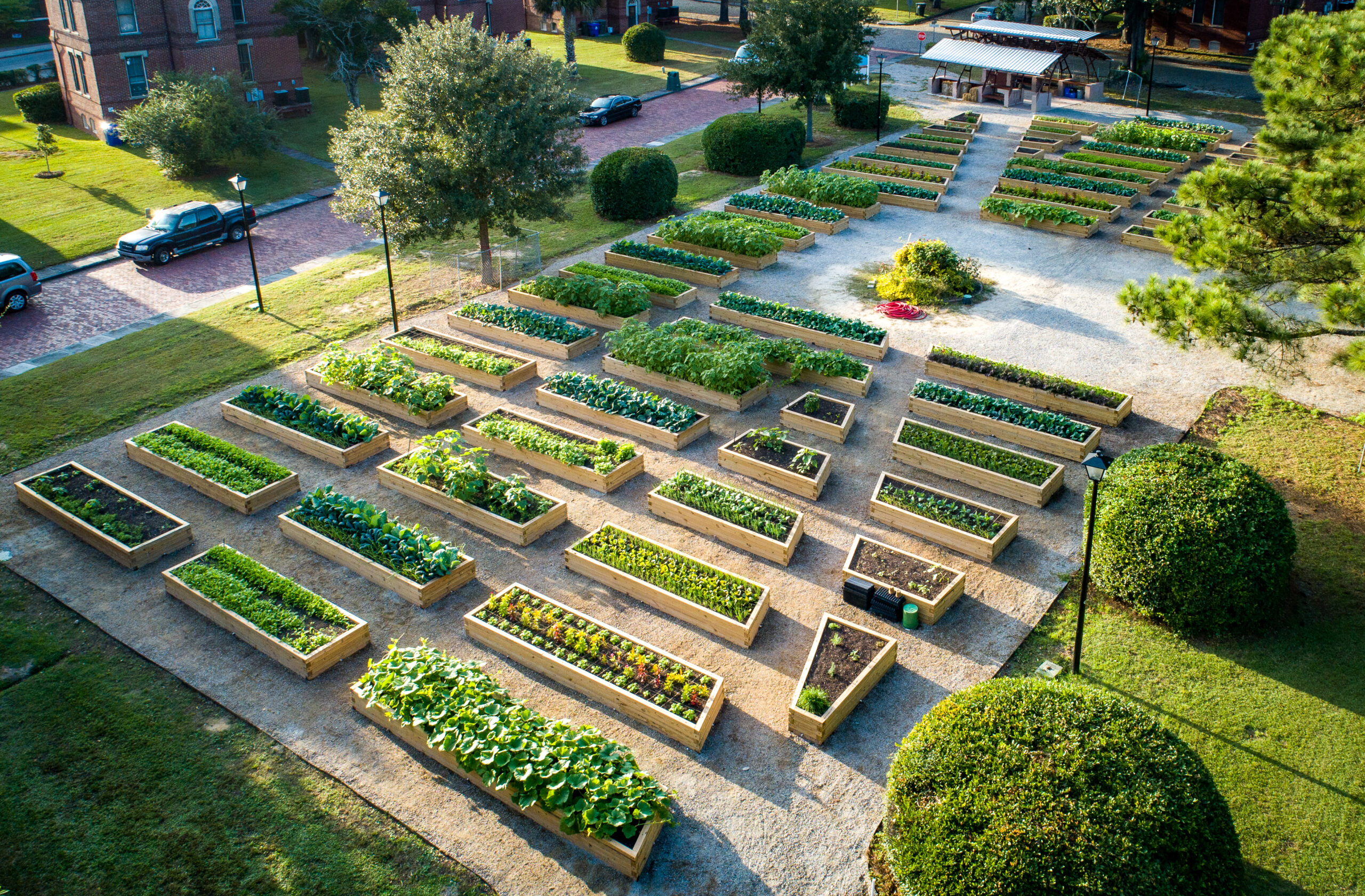 Urban Farm at Enston Home The Green Heart Project